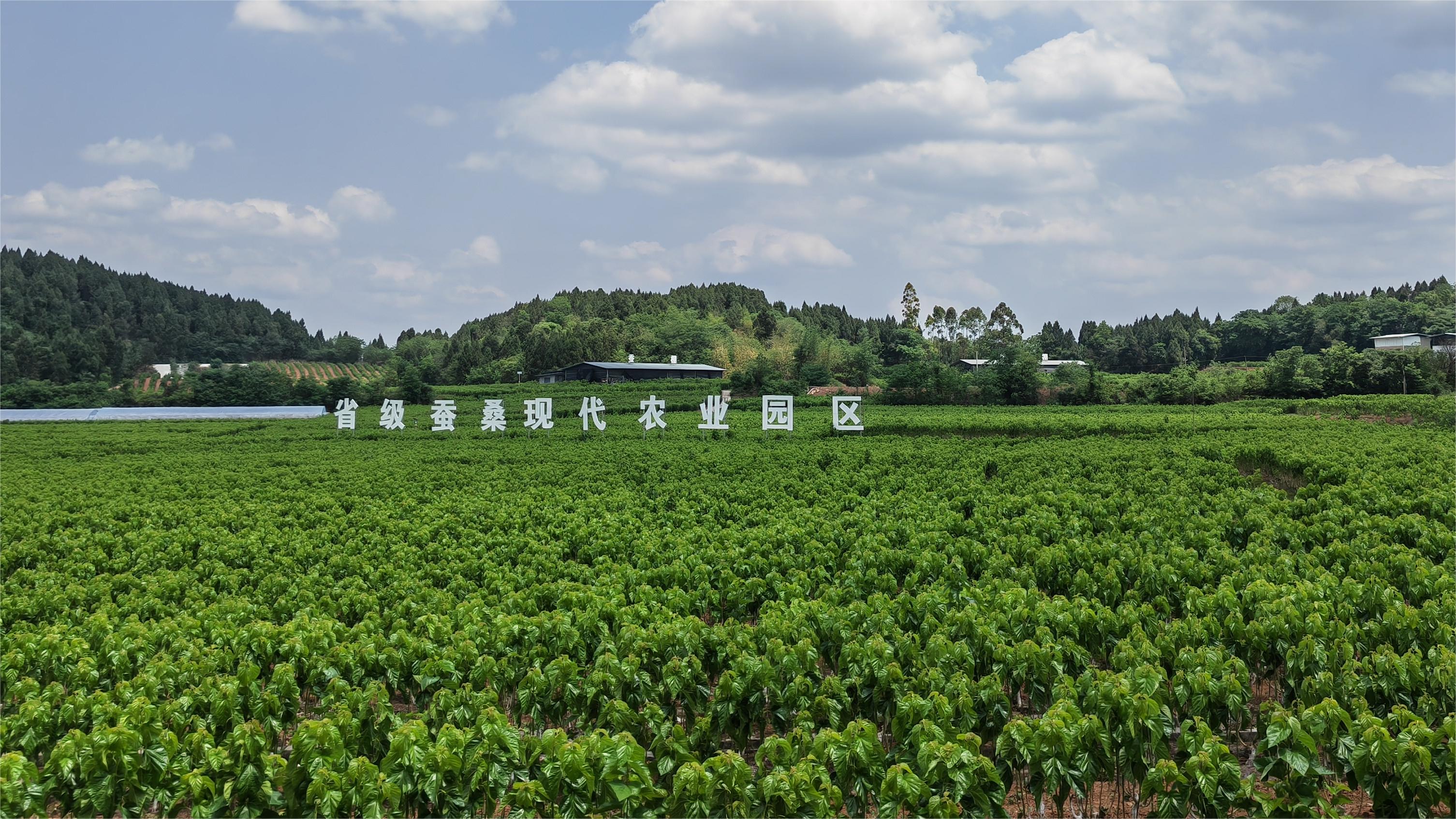 省级蚕桑现代农业园区