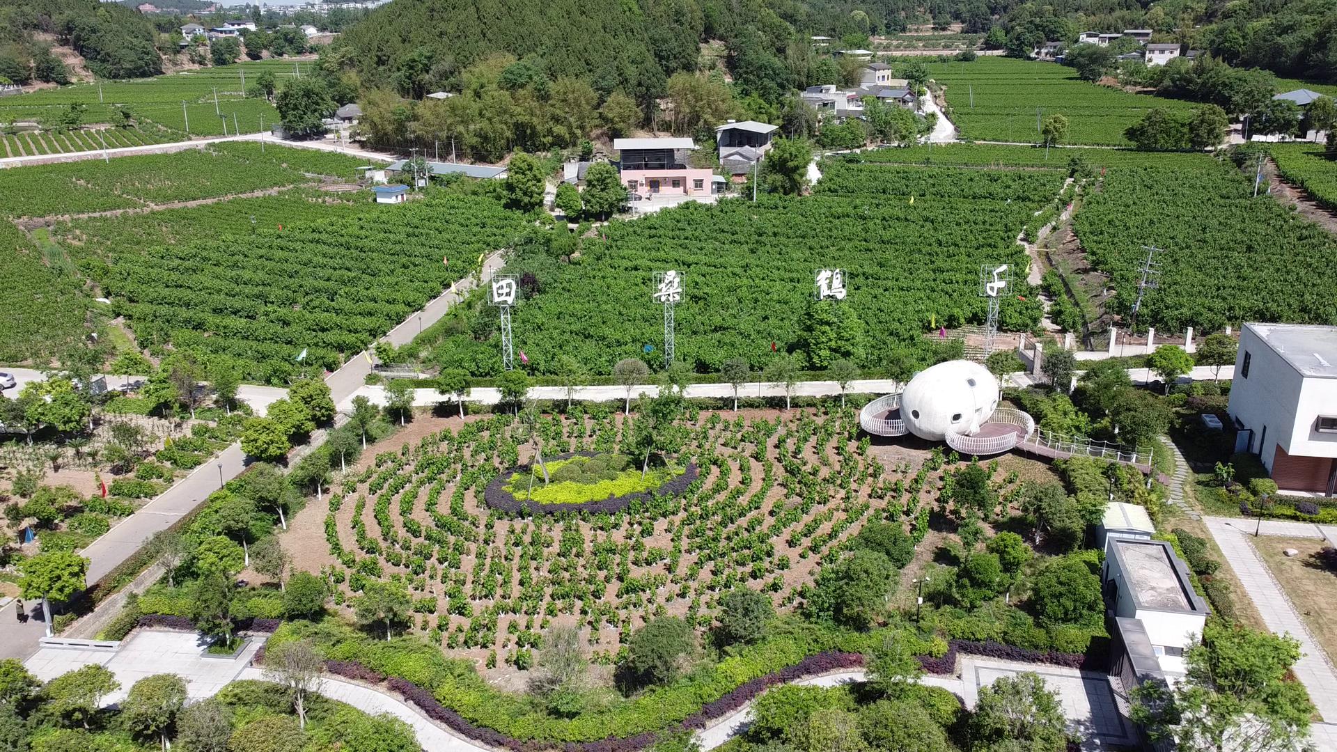 “千鹤桑田”蚕桑文化农业主题公园