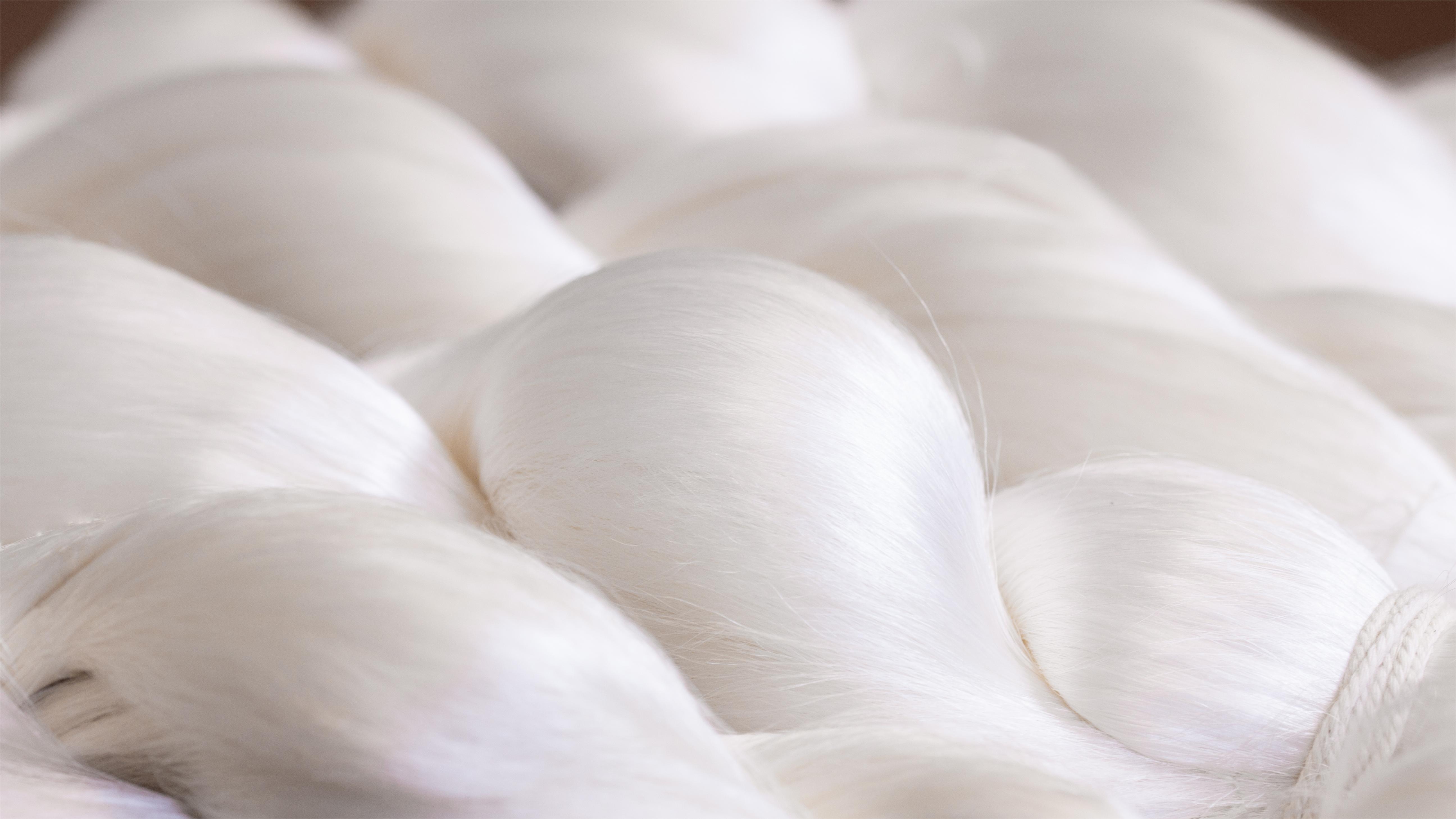 “七彩之虹”6A生丝