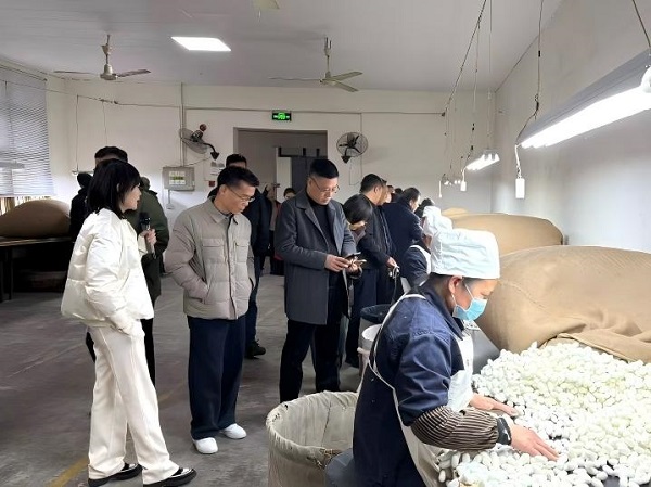欧宝app登录